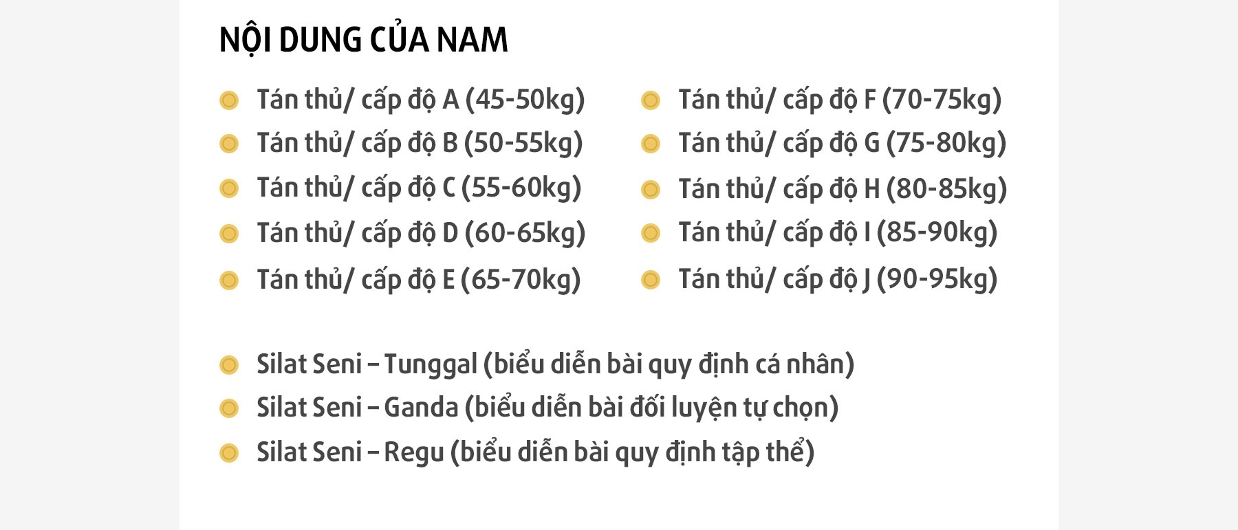Silat Viet Nam no luc vuot kho truoc them SEA Games 29 anh 2