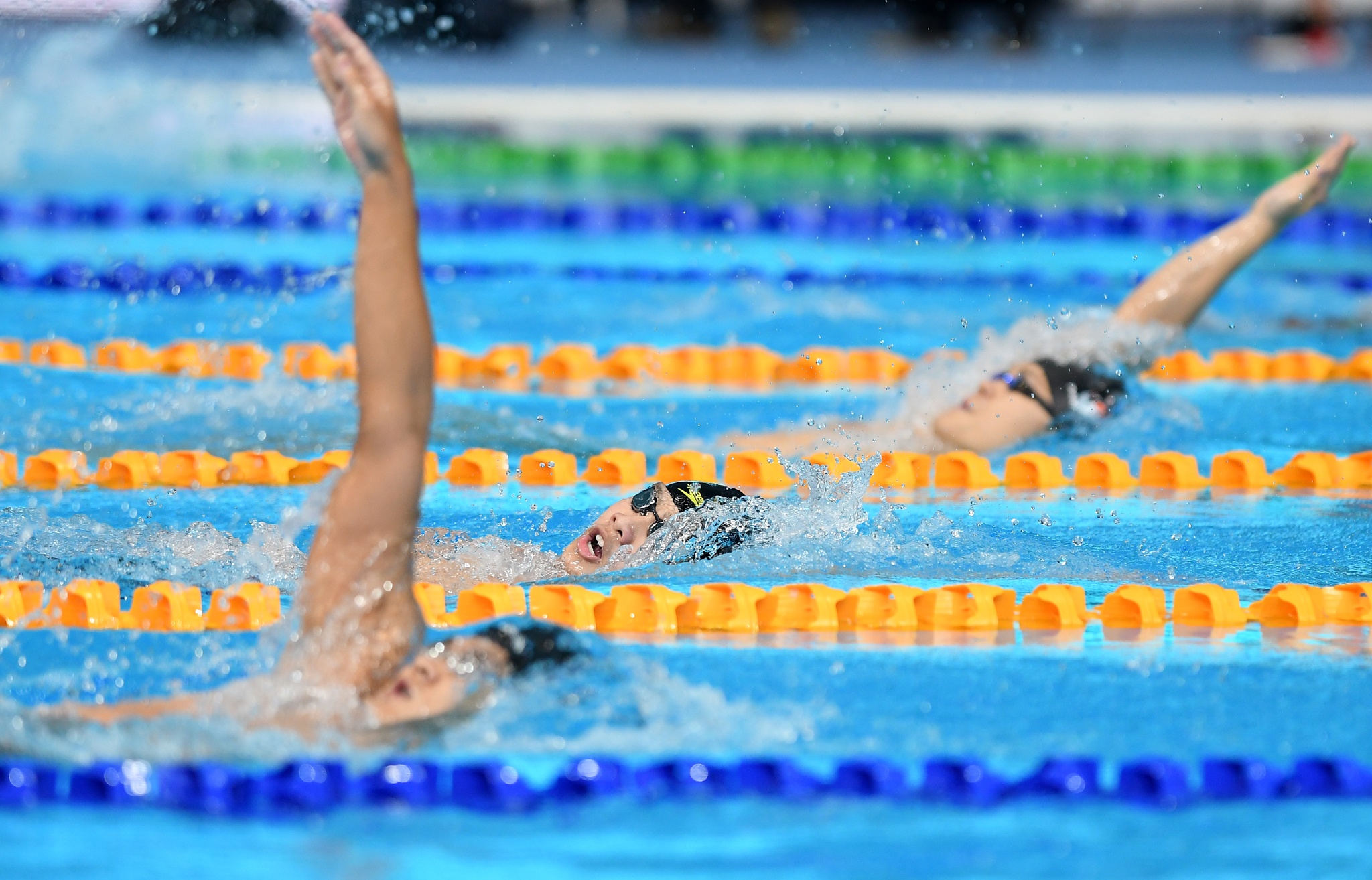 Kim Son,  'hien tuong boi loi Viet Nam anh 2