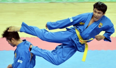 Bat ngo voi de xuat gop vo co truyen va Vovinam thanh Vovietnam hinh anh
