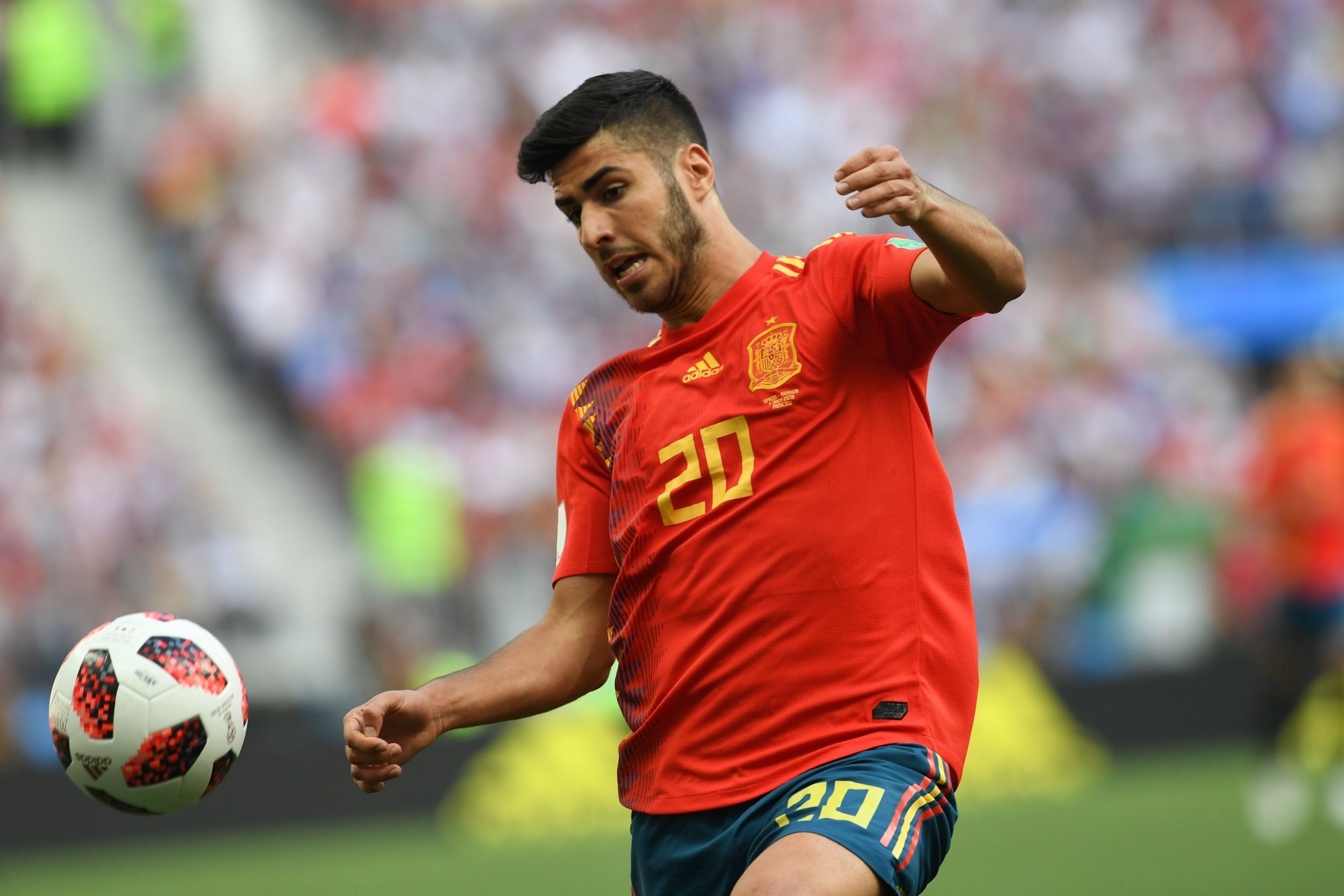 Marco Asensio ảnh 1 Marco Asensio anh 1