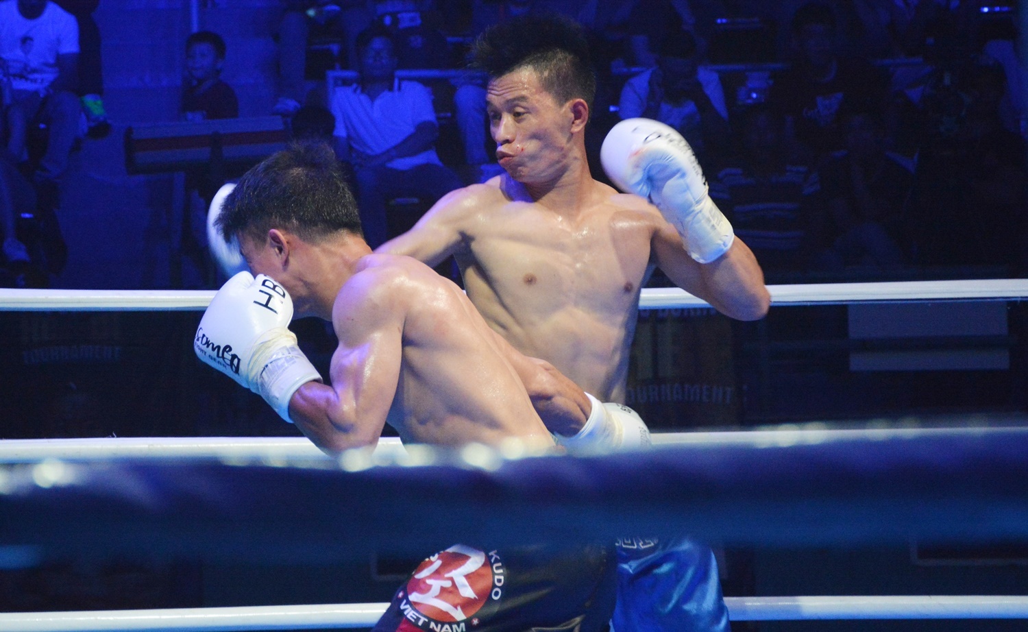 Sai Gon 'nong' voi giai boxing HBF lan 1/2018 hinh anh