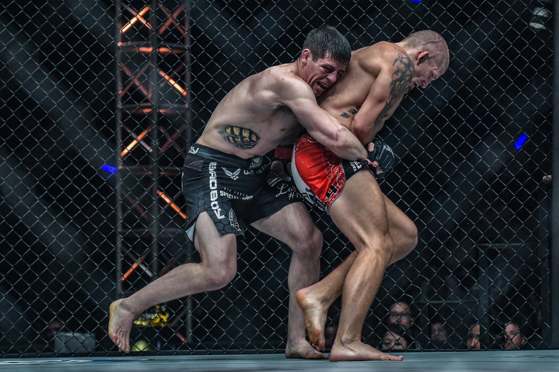 One Championship anh 8
