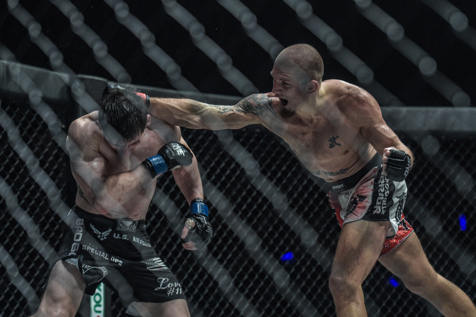 One Championship anh 11