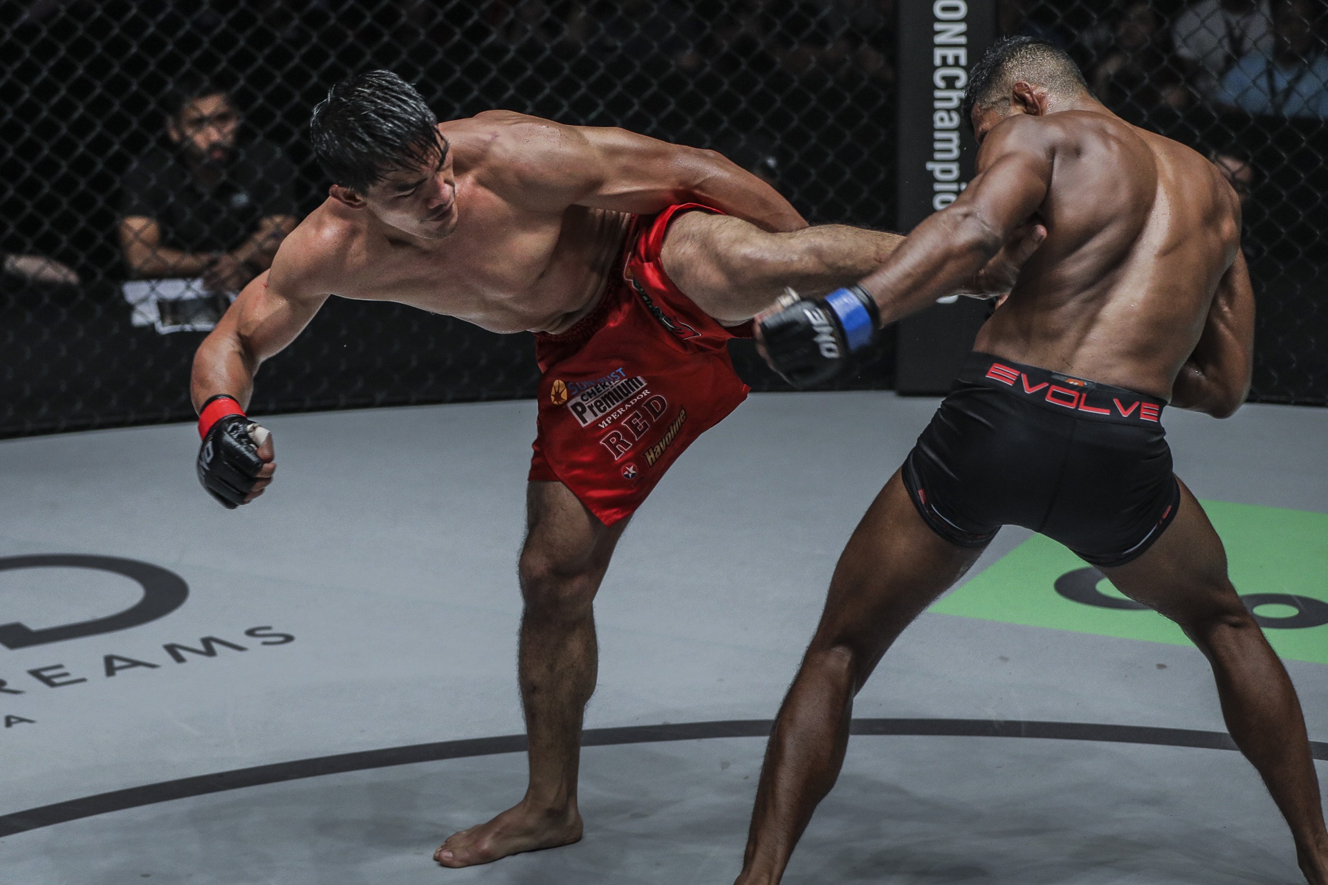 One Championship anh 6