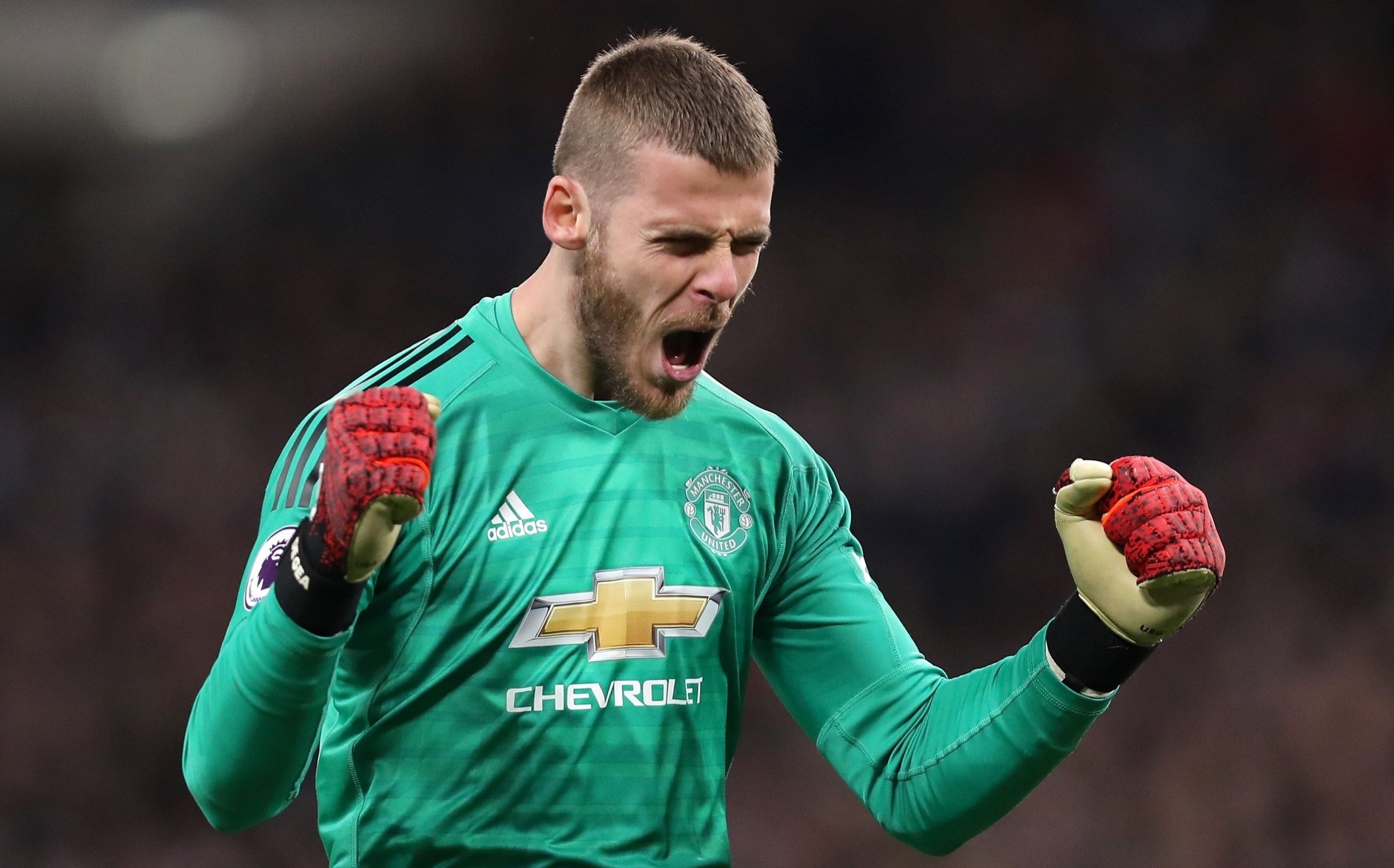 David de Gea ảnh 2 David de Gea anh 2