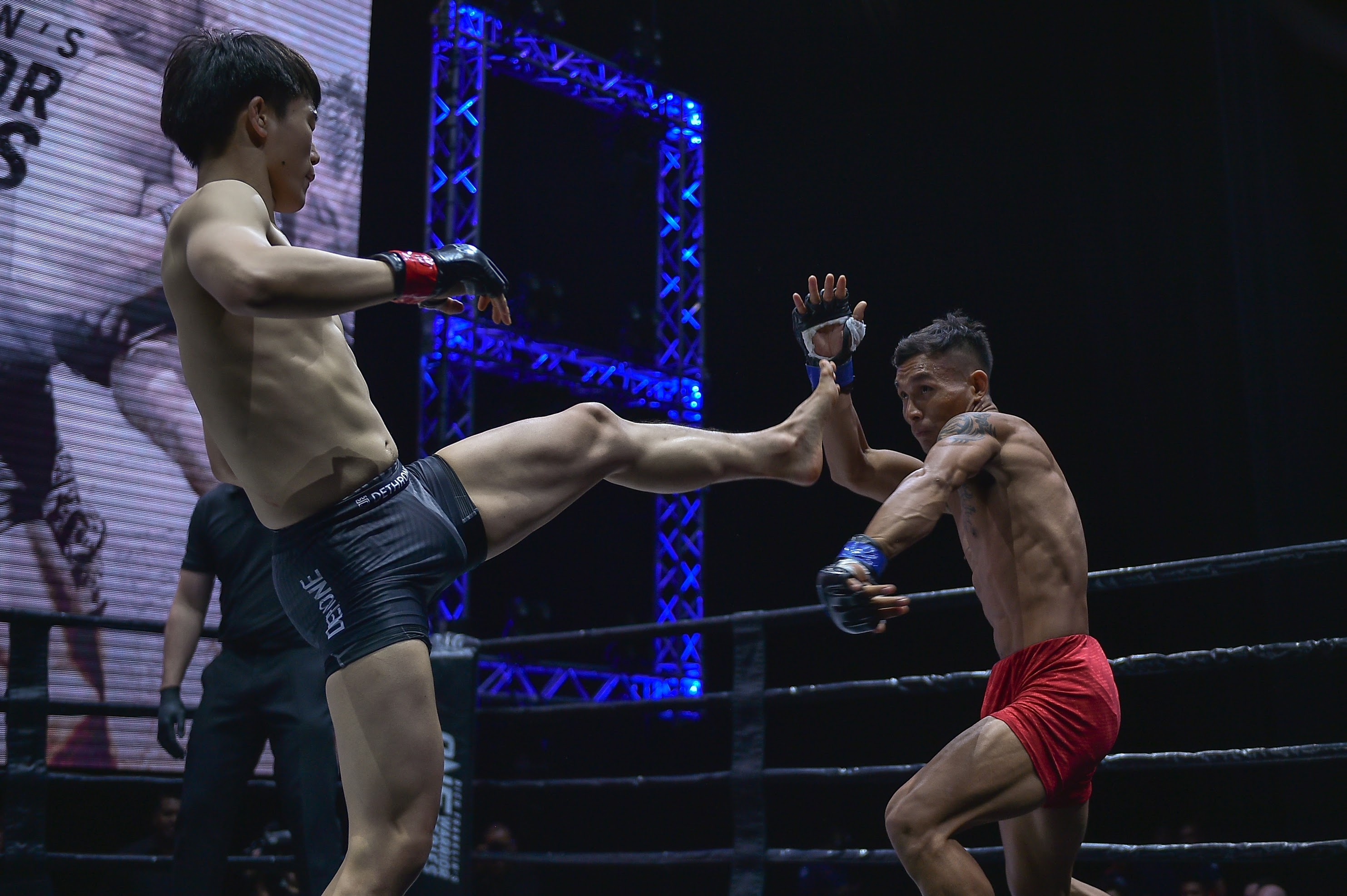 MMA anh 1