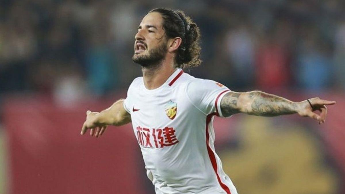 Pato ảnh 1 Pato anh 1