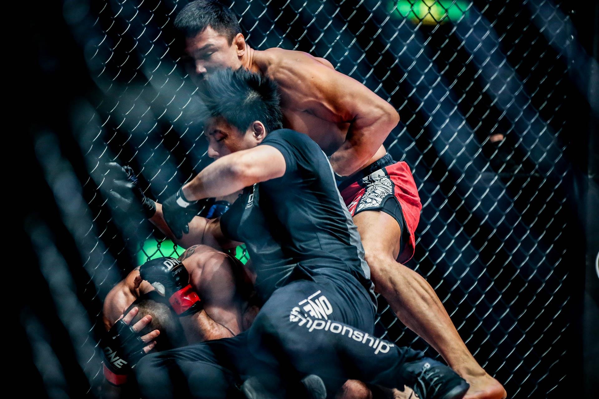 UFC anh 2