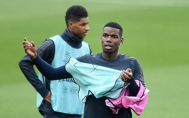 Pogba anh 2
