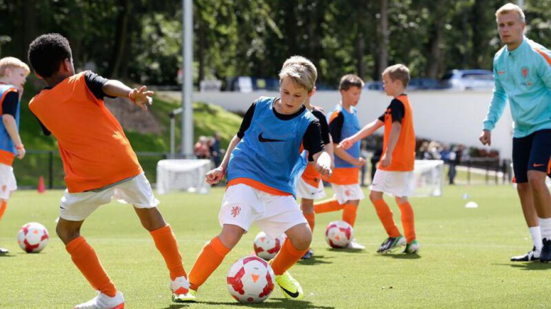 bong da Ha Lan anh 2