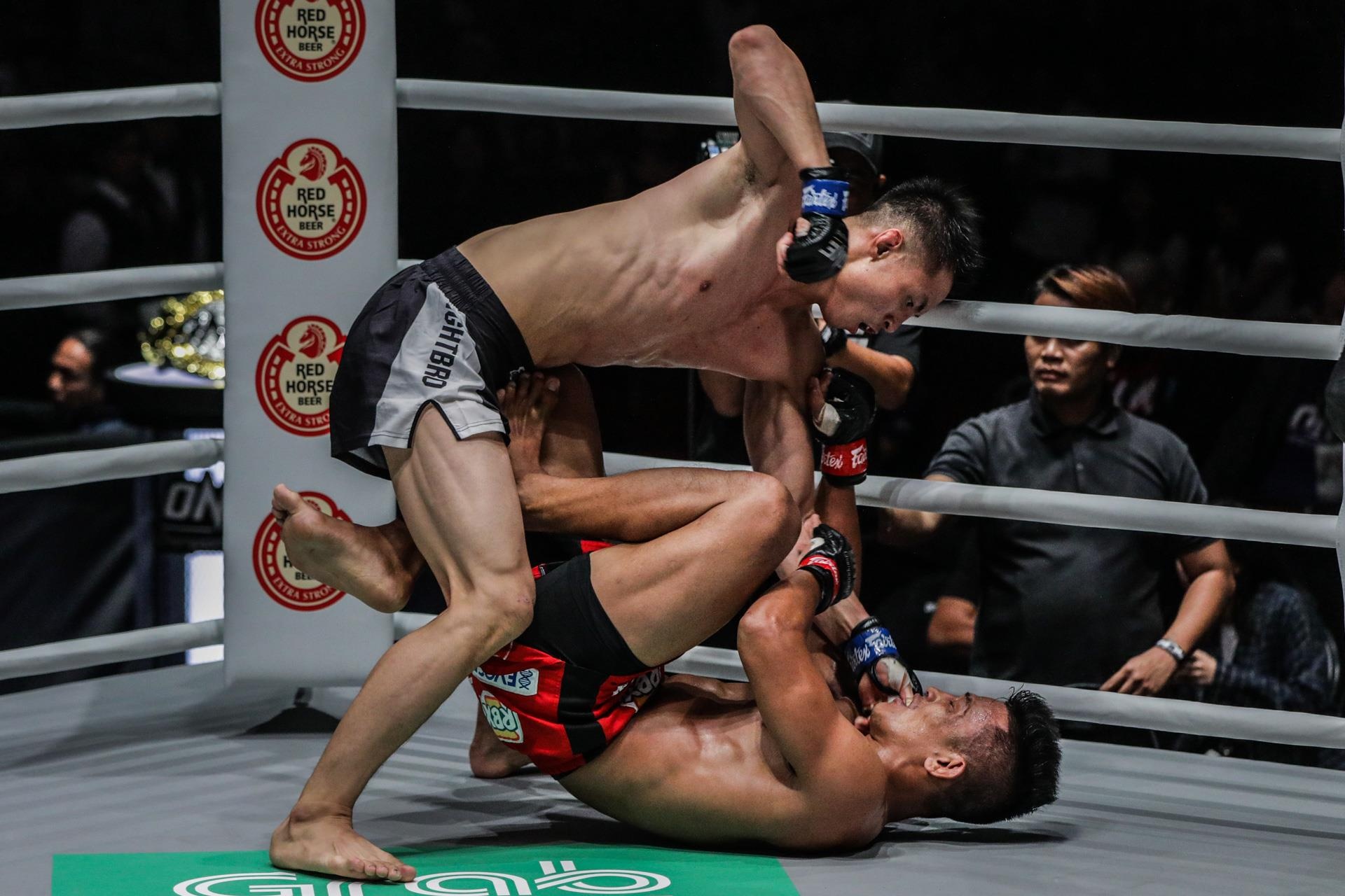 MMA anh 8