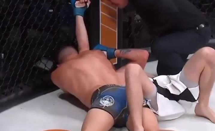 Nick Newell ảnh 1 Nick Newell anh 1