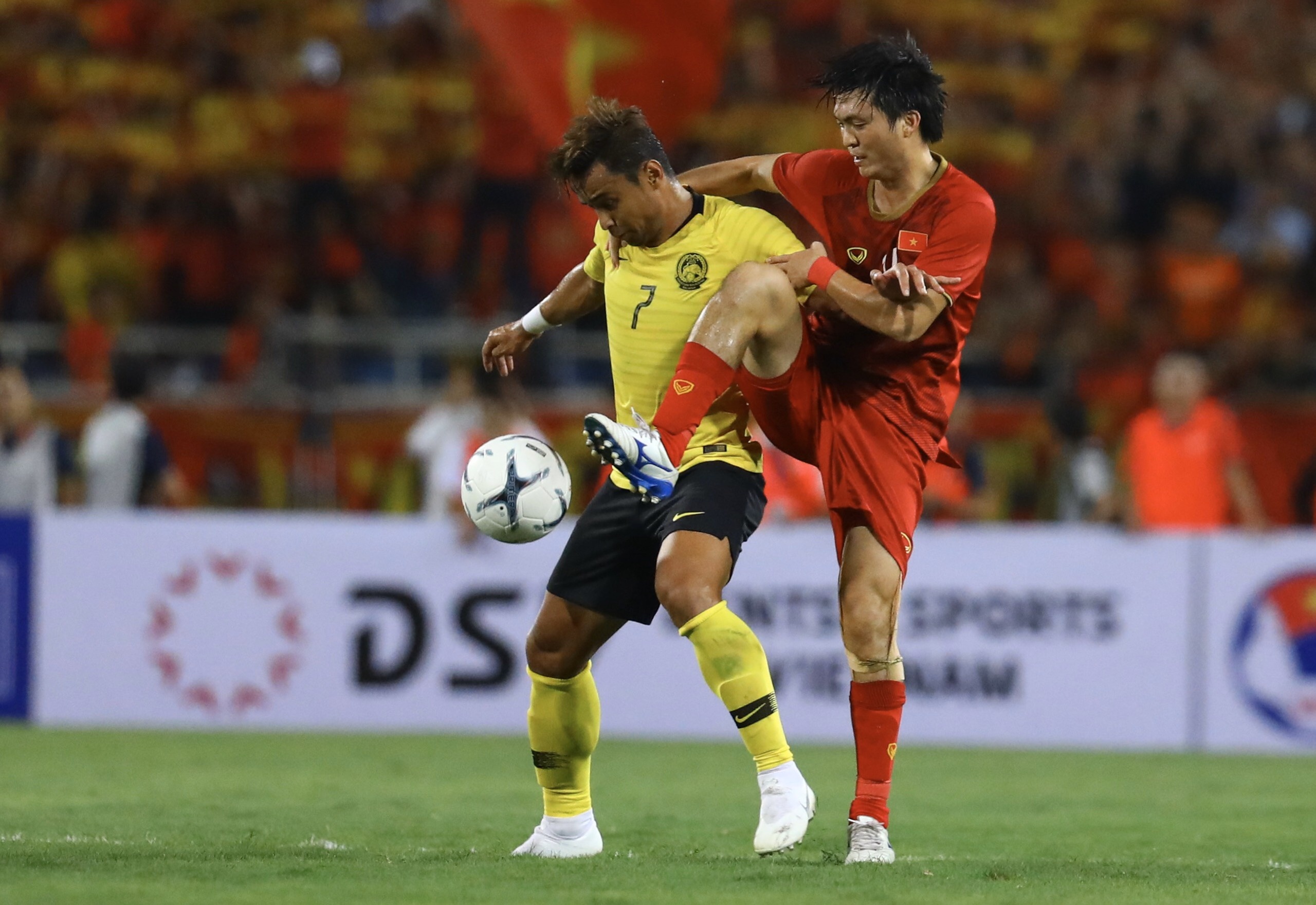 Tuyen Viet Nam anh 2