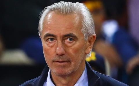 UAE sa thai HLV Van Marwijk hinh anh