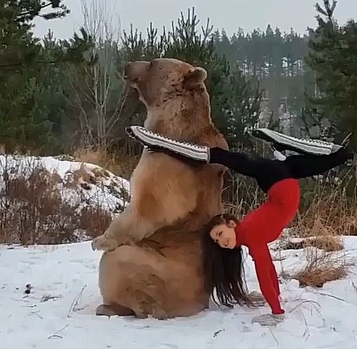 Khi ban tap gym cung chu gau khong lo hinh anh