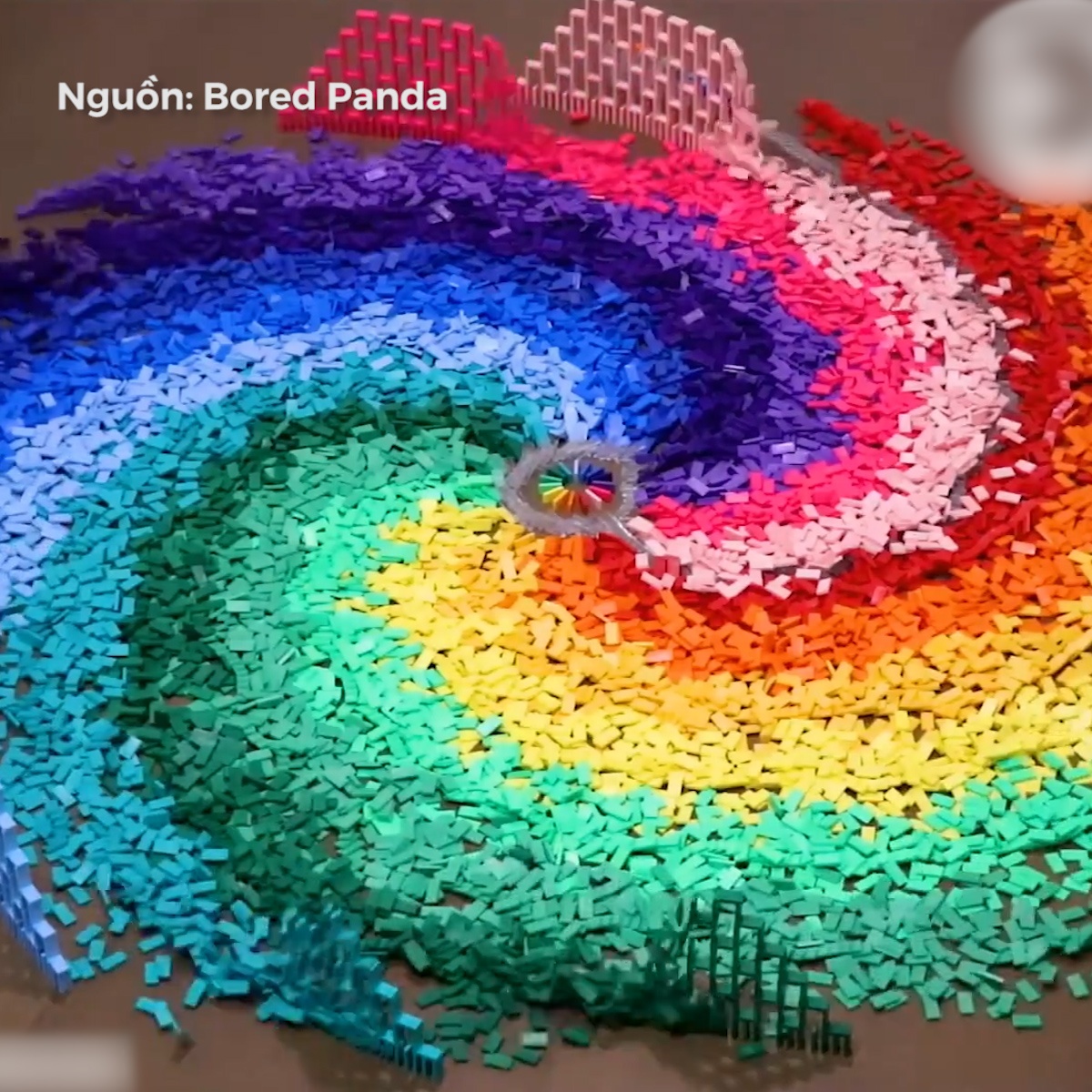 Bo thoi gian xep 12.000 manh domino thanh tac pham nghe thuat hinh anh