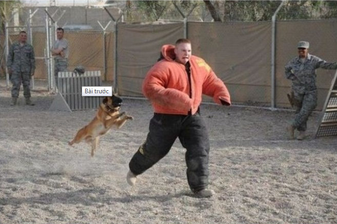 Anh vui: Sao lai duoi theo tao hinh anh