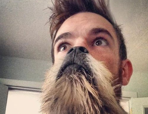 Anh vui: Coi chung nhin nham hinh anh