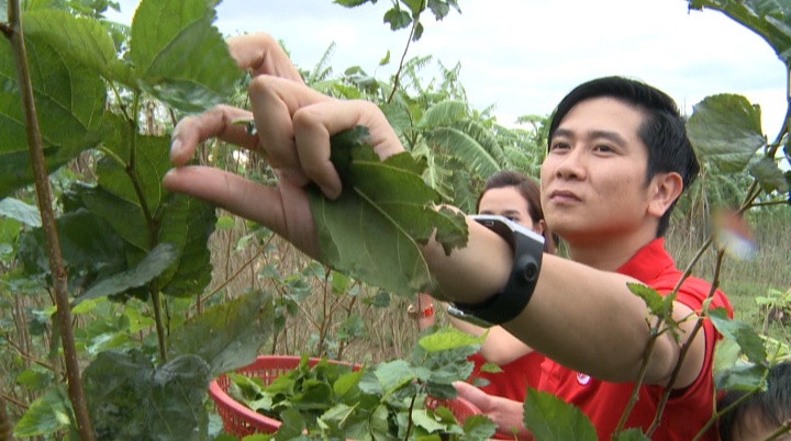 Ho Hoai Anh, Luu Huong Giang ve que hai dau, nuoi tam hinh anh