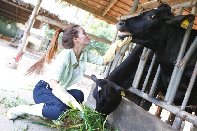 Dinh Huong lam nong dan nuoi bo sua hinh anh