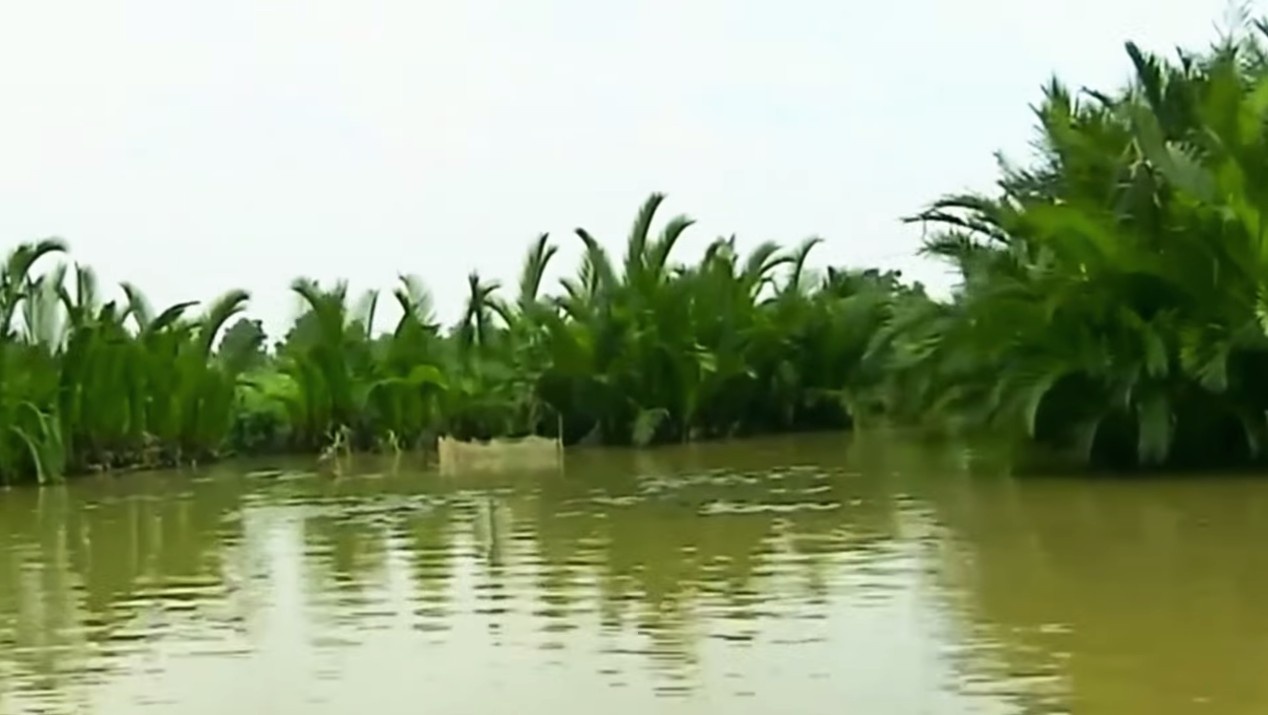 Dan mang chia se phim ngan 'Vui Tet sum vay' hinh anh