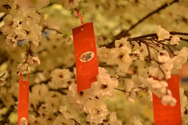 Mảnh giấy ước nguyện mang màu đỏ tượng trưng cho sự may mắn