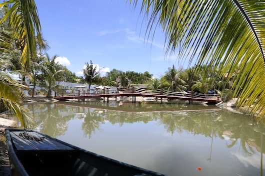 Mua he ru nhau cau ca va du lich Lang Tre hinh anh