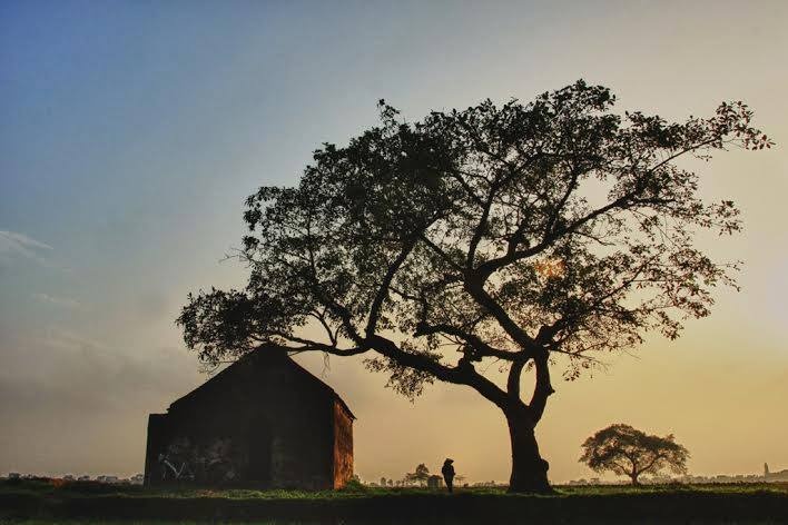 Giá trị thách thức thời gian.