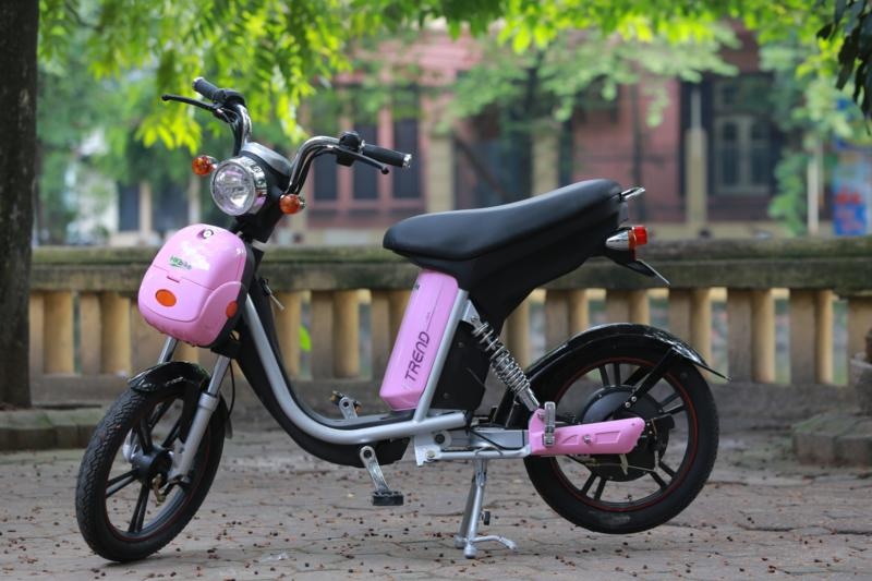 iTrend va Zinger Extra - cap doi xe dien hot nam 2014 hinh anh