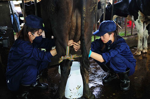 Tao ban do du lich Viet Nam hap dan hinh anh