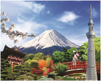 Nhung bat ngo thu vi mang ten xu so Phu Tang hinh anh