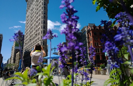 Bi quyet chup anh dep cua Lumia 1020 hinh anh