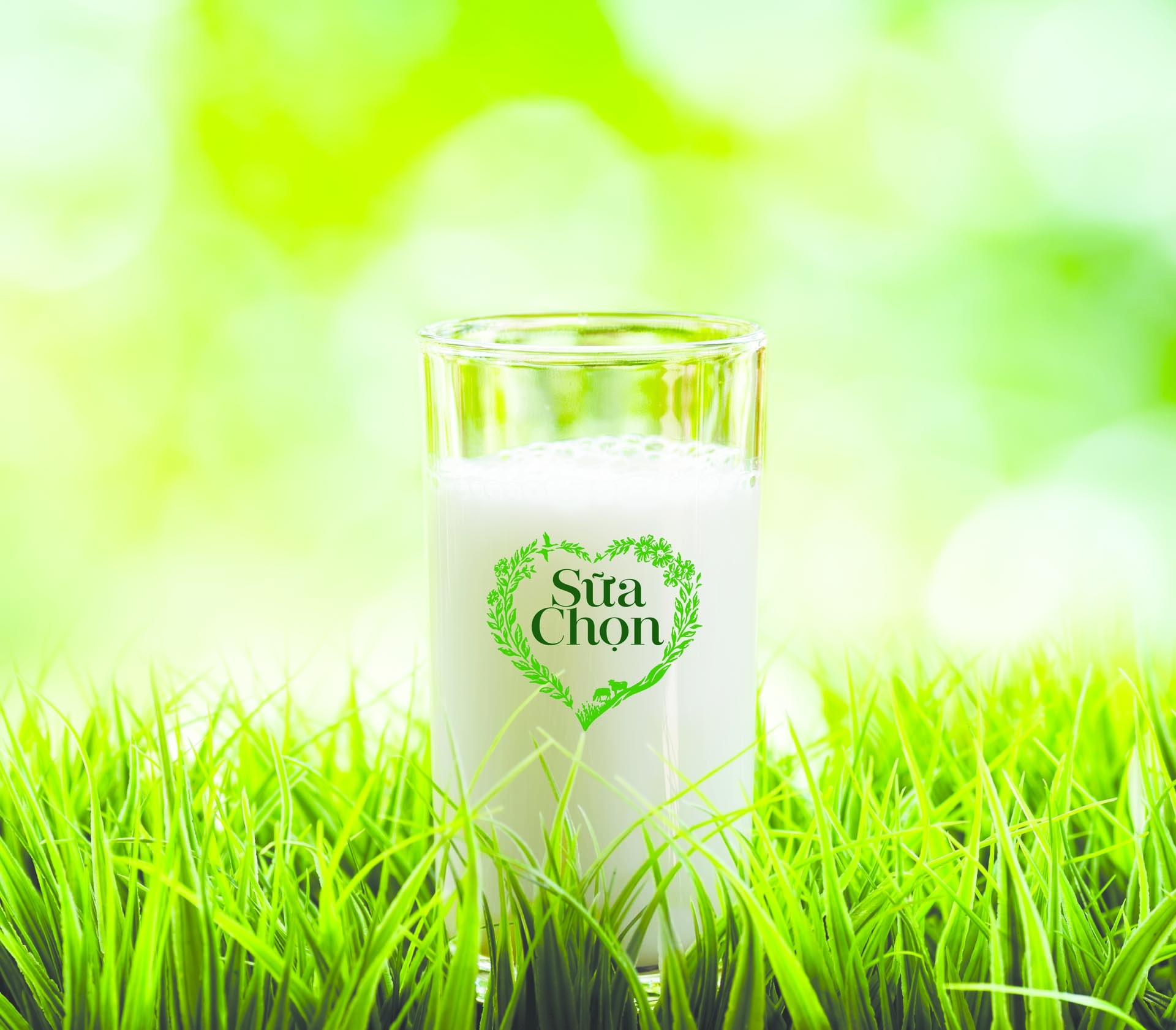 Sua Chon chinh phuc khau vi tinh te hinh anh