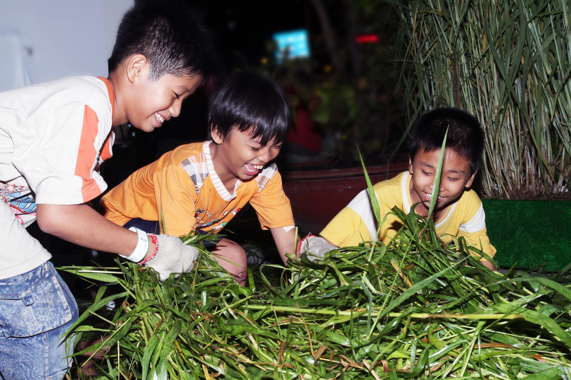 Frieslandcampina Viet Nam tham du 'Ngoi lang Ha Lan 2013' hinh anh