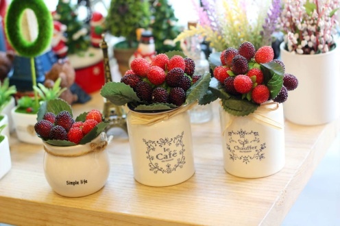 Mung Quoc te Phu nu 8/3, 'Ton vinh ve dep Viet' cung 123Pay hinh anh