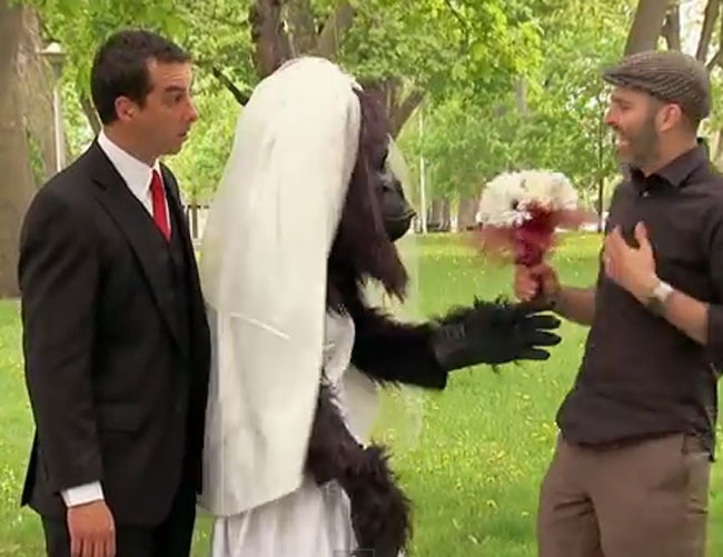 Nhung clip hu doa giup gioi tre thu gian hinh anh