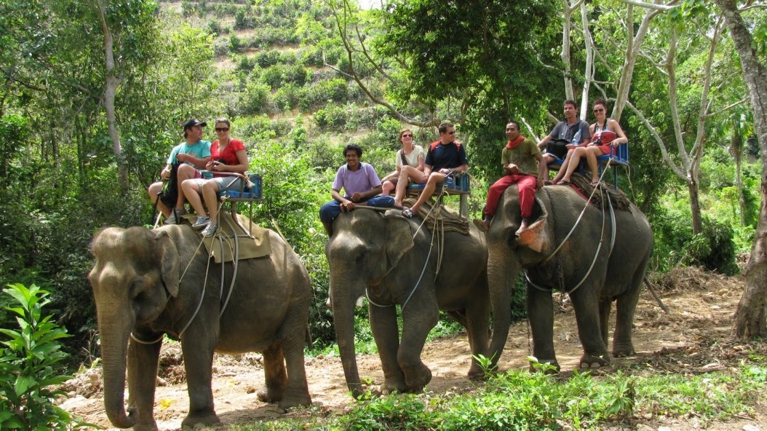 Khong gian sang tao cua Dang Le Tourist tai Ngay hoi du lich hinh anh