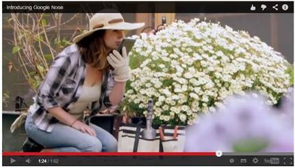 Tro dua cua dai gia ngay 'Ca thang tu' hinh anh