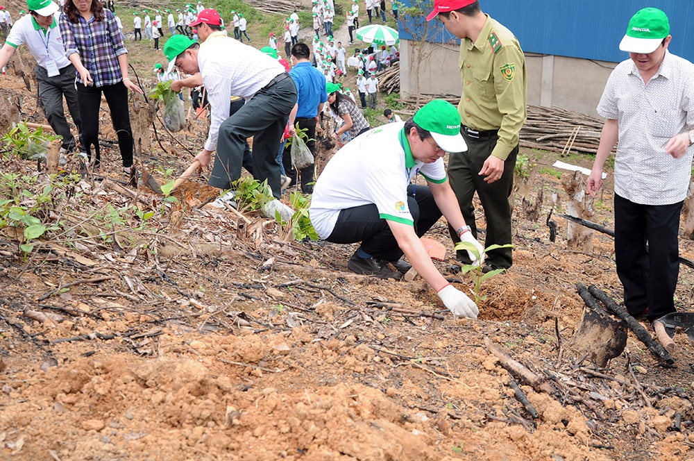 Ngay hoi trong rung tai Bac Kan hinh anh
