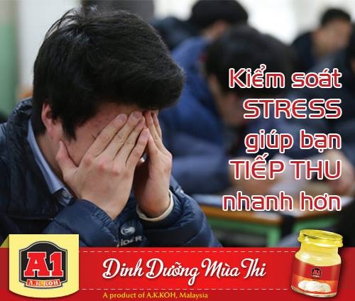 Yen sao A1 tiep suc si tu mua thi hinh anh