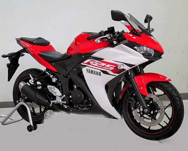 Yamaha YZF R25 2014 mau doc 'gay bao' tai Ha Noi hinh anh