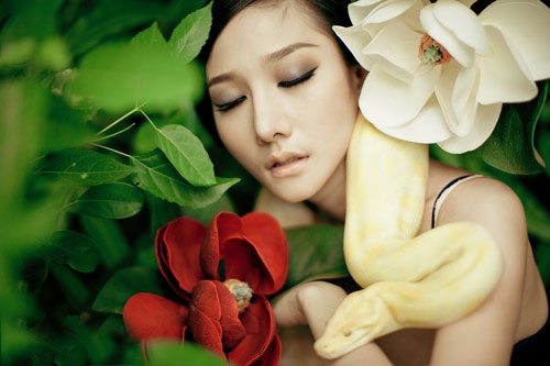 Sara Nguyen goi cam ben tran vang hinh anh