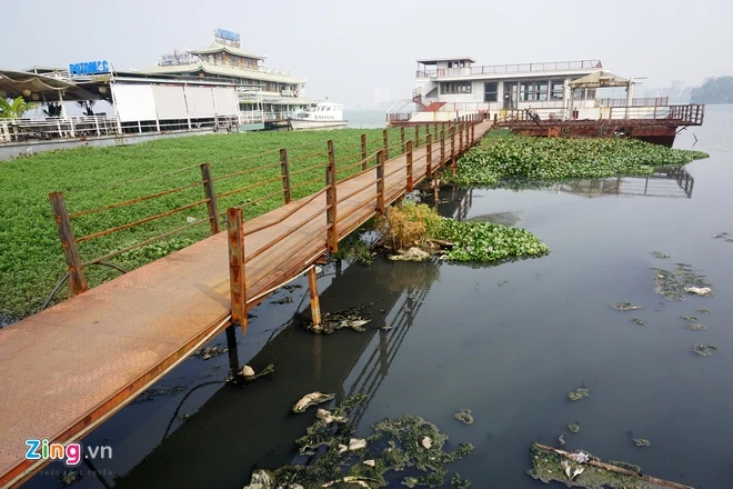 Du thuyen, nha hang noi xa thai truc tiep xuong ho Tay hinh anh