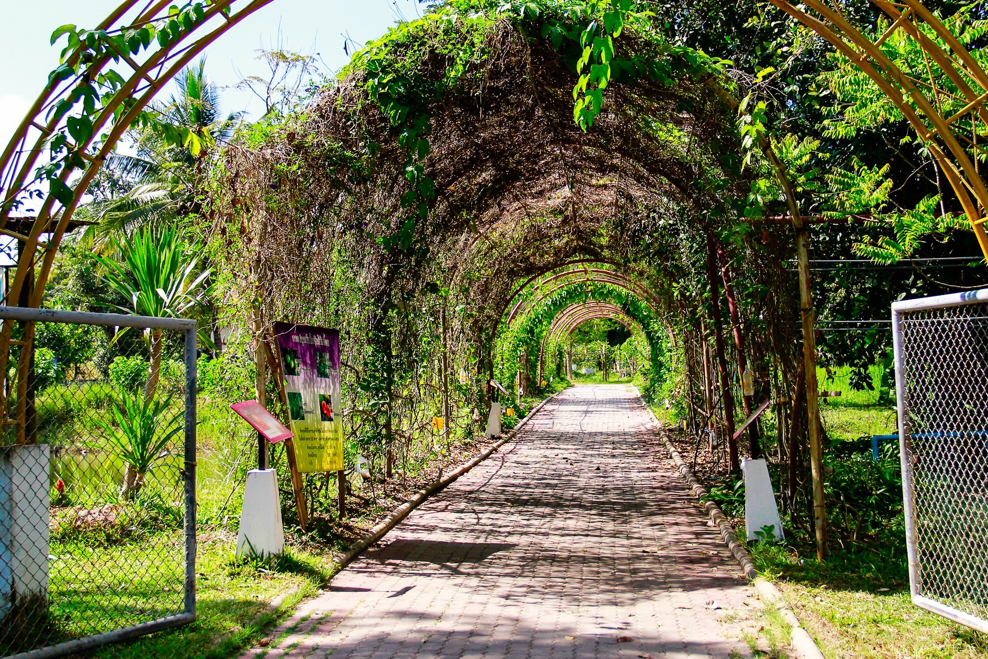 Với diện tích 1800 hecta, cả khuôn viên như một khu rừng xanh mát. Trung tâm Nghiên cứu Phát triển Dự án Hoàng gia Phu Phan là nơi lưu giữ, nghiên cứu và phát triển nông lâm ngư nghiệp, cung cấp các loại hạt giống, con giống cho người dân nuôi trồng.  Ghé và được tận tay tham gia vào một số hoạt động thú vị như trồng lúa, bắt cá, lấy trứng cá giống, cho hươu ăn hoặc trồng cây đem rất nhiều điều thú vị.