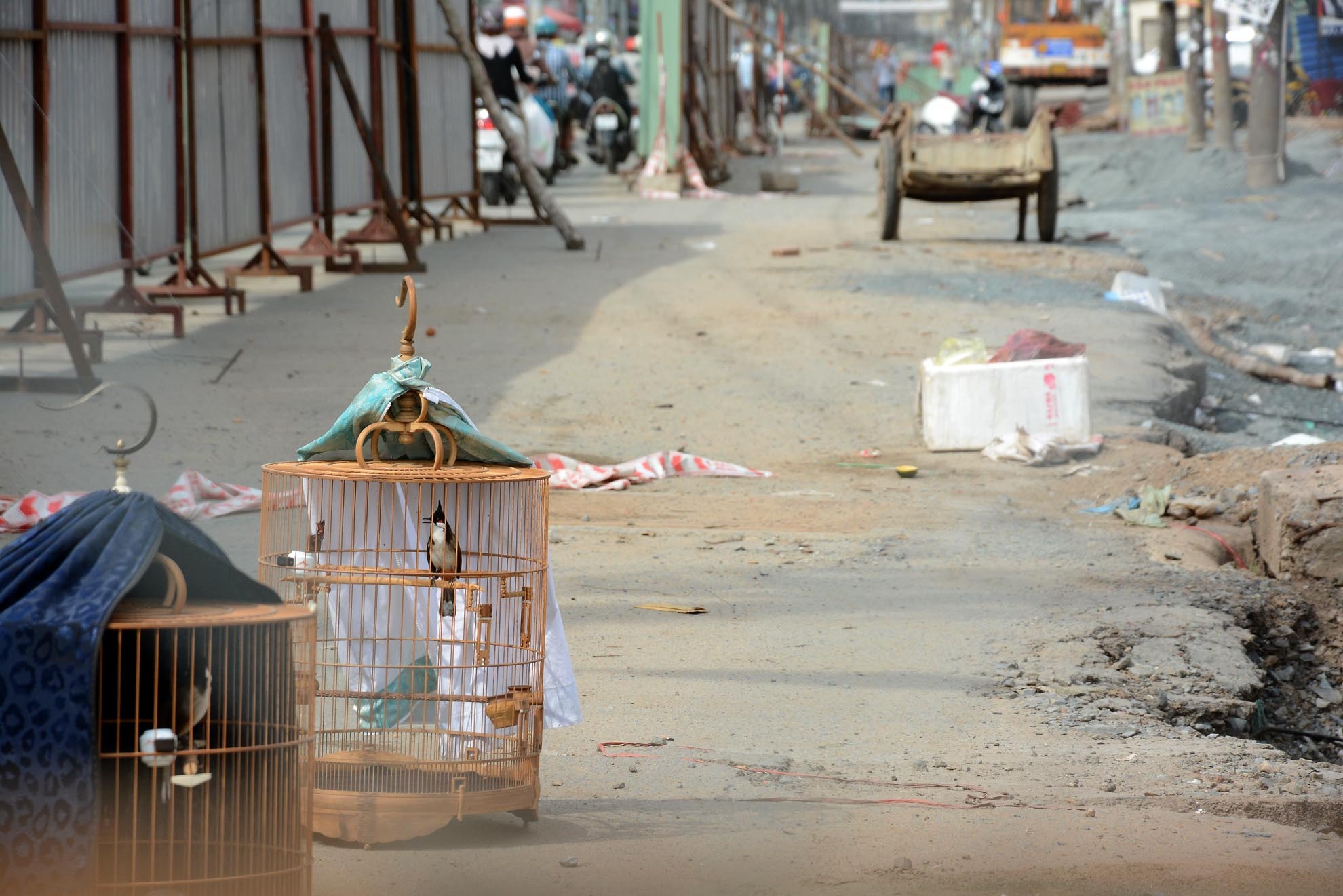 Anh Nguyễn Anh Thi, (nhà trên đường Lũy Bán Bích) cho biết: “Mấy tháng nay, bà con ở đây phải sống rất khổ cực. Trời nắng nóng thì bụi mù trời, trời mưa thì nước tràn vào nhà ngập lênh láng. Ai nấy phải thức cả đêm để tát nước. Mong sao cho các cơ quan chức năng vào cuộc giải quyết để người dân bớt khổ hơn”.