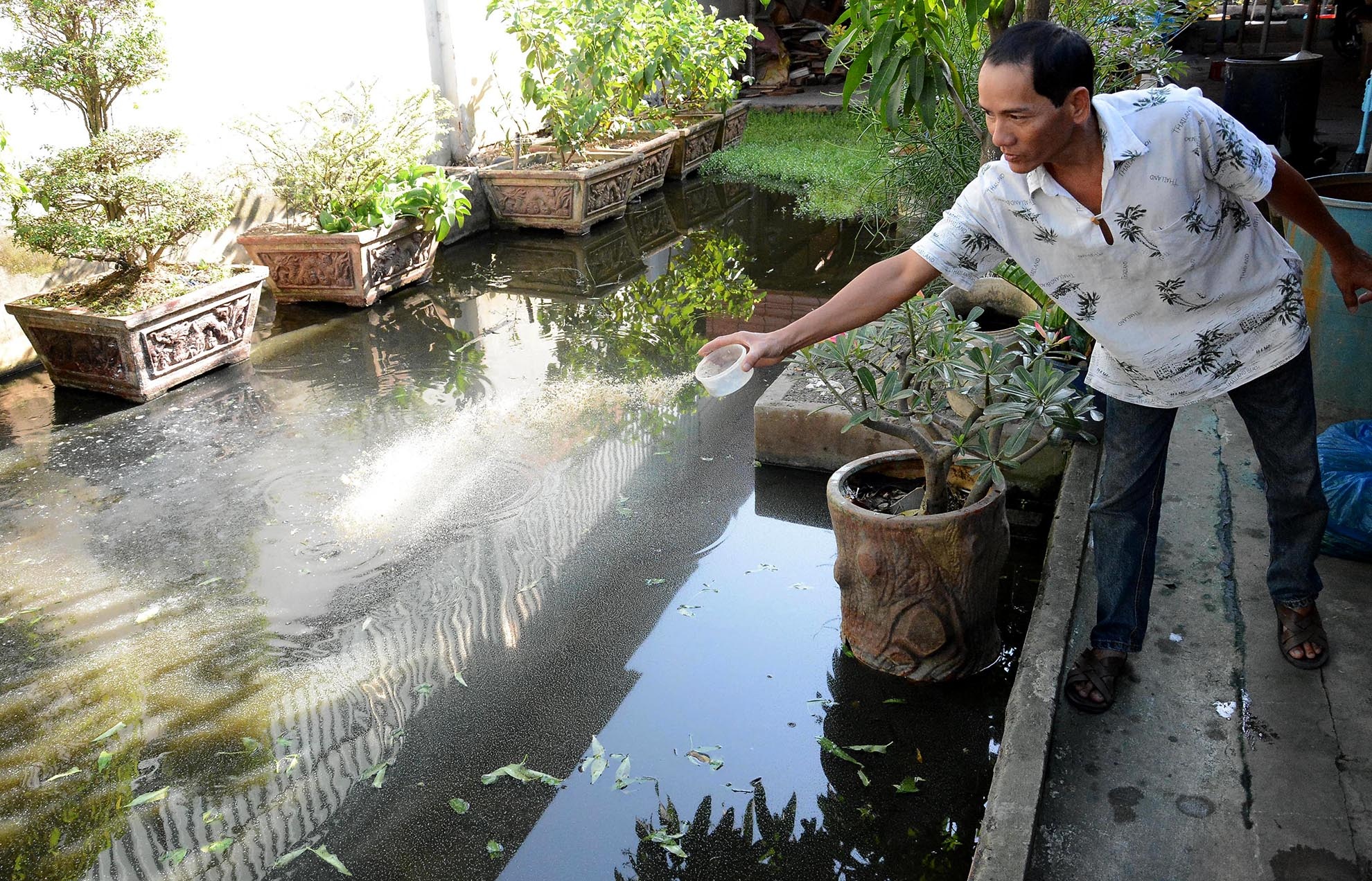 Ngôi nhà số 220 An Dương Vương, phường 16, quận 8, TP.HCM, của anh Nguyễn Song Anh Tuấn không có cống thoát nước, nên nước thải sinh hoạt của gia đình anh trở thành ao nuôi cá.