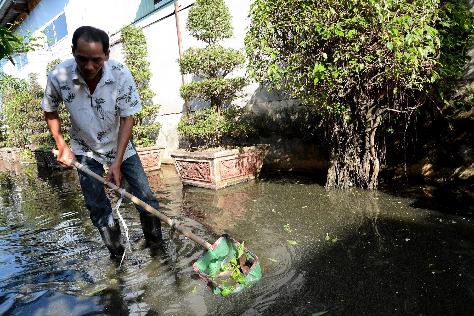 Nuoc thai sinh hoat thanh ao nuoi ca o Sai Gon hinh anh