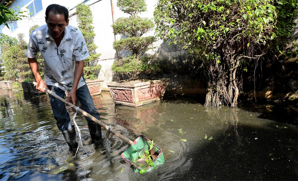 Nha thap hon duong, nuoc thai thanh ao nuoi ca trong san hinh anh