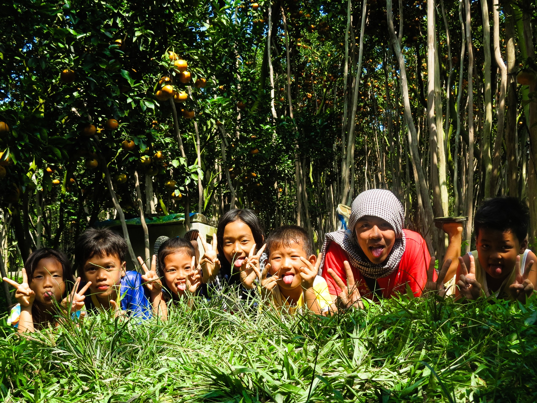  vui đùa dưới tán quýt cùng đám trẻ con, thưởng thức những múi quýt thơm ngọt ngay dưới gốc cây. 