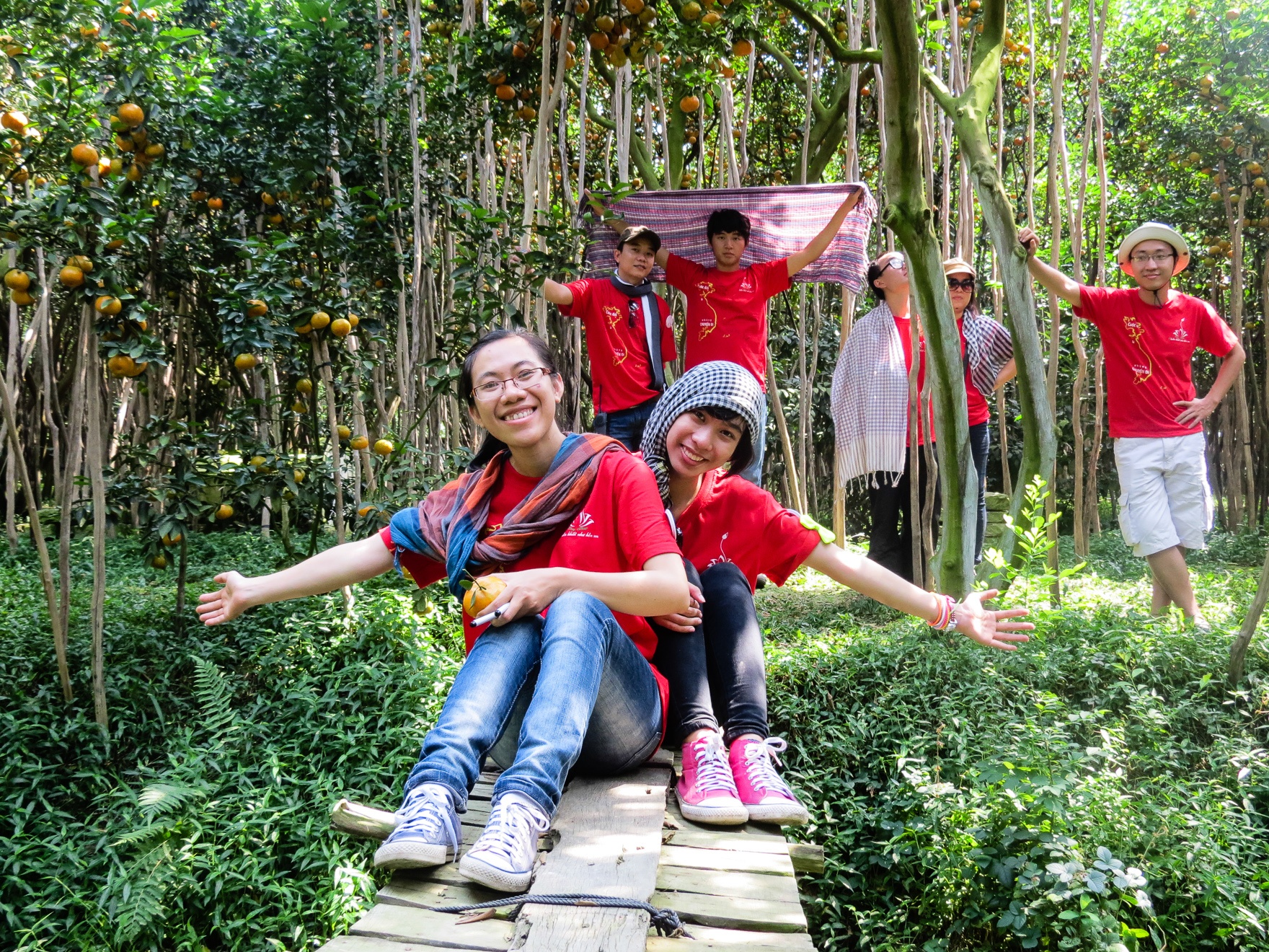 Triệu tia nắng xuyên qua tán lá, đổ trên thảm cỏ xanh rì rồi hắt cả quầng sáng lên vạn trái quýt vàng rung rinh. 